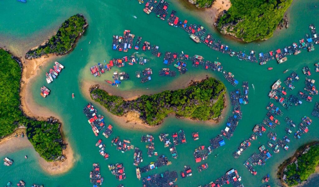 receptivo DMD Asia Pacífico