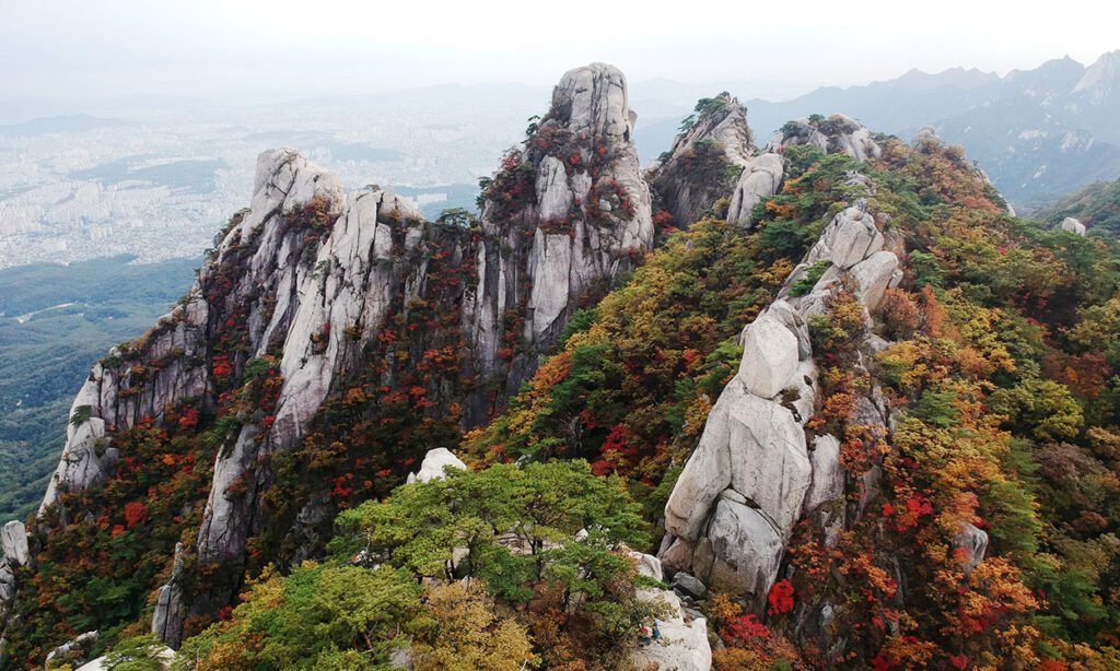 experiencias viaje únicas Corea