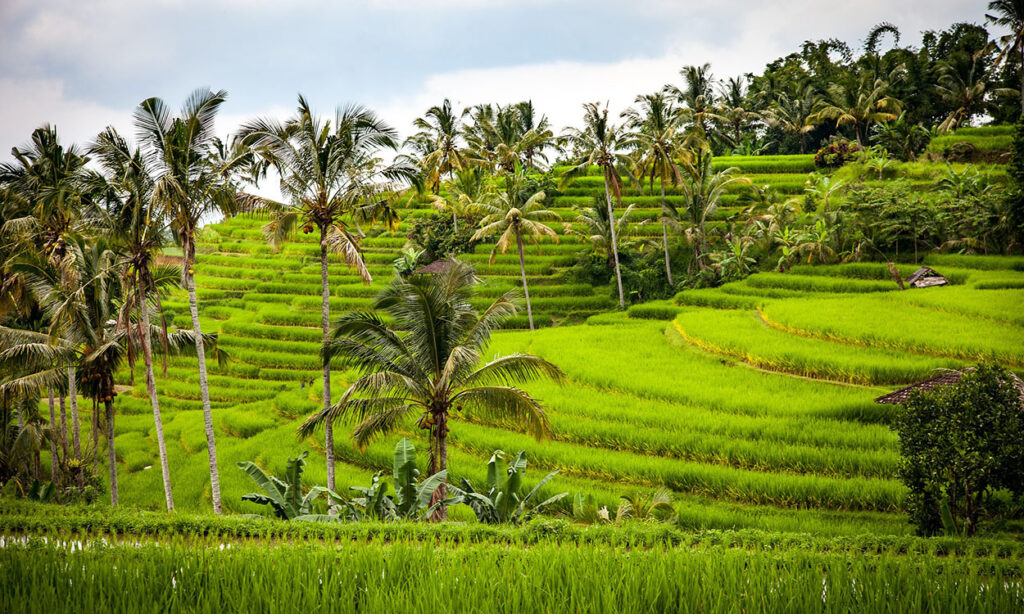 principales sitios visitar Bali