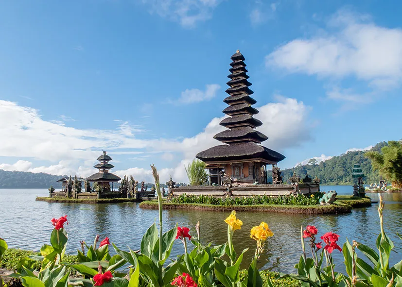 Infinite wonderful nature